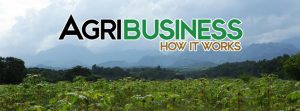 agribusiness investment