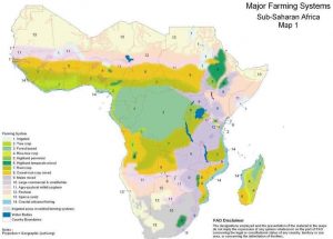 african farming