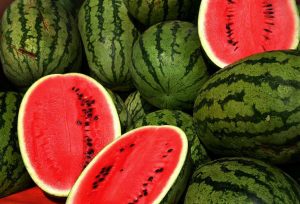 All You Need To Plant Watermelon Successfully